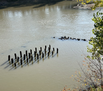 Dyer's Crossing #2, Photo Courtesy of Steven Walsh