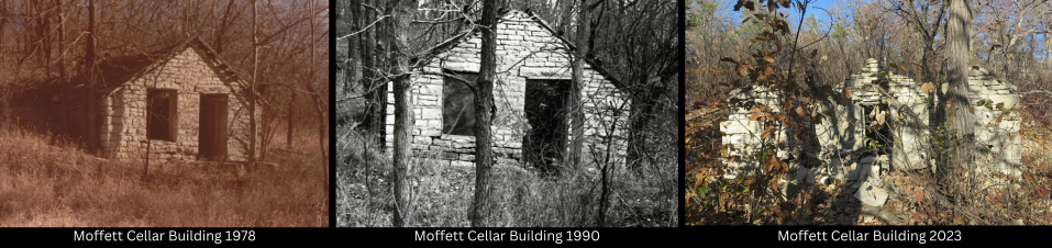 Moffett cellar from 1978-2023