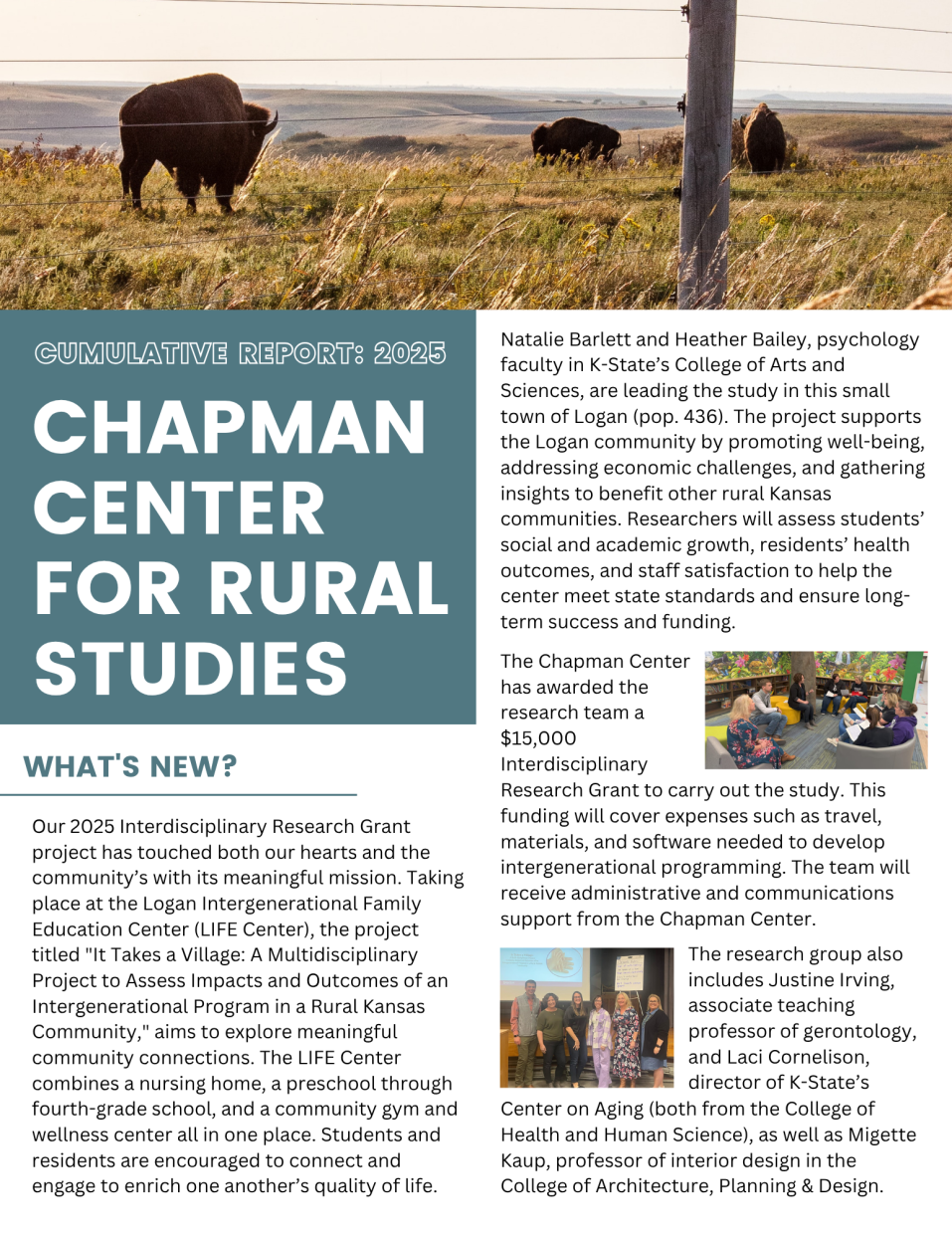 Cumulative Report page 1